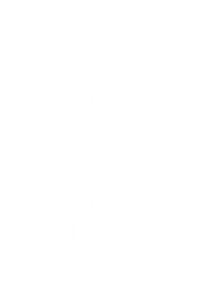 h3-banner-bird-img